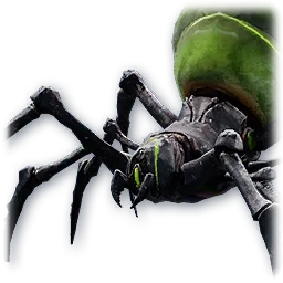 Baby Odyle Spider
