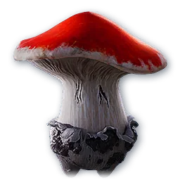 Fungie pet